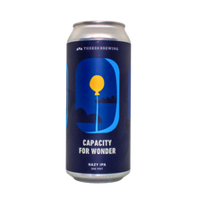 Load image into Gallery viewer, Capacity For Wonder Single Can of Beer