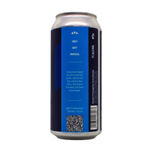 Load image into Gallery viewer, Capacity For Wonder Single Can of Beer