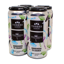 Load image into Gallery viewer, 4 Pack of Beer