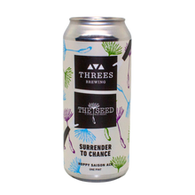 Load image into Gallery viewer, Single Can of Beer