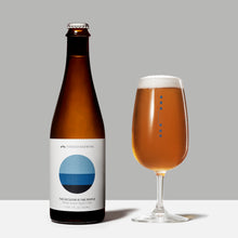 Load image into Gallery viewer, Barrel Aged The Dictator Is The People (Heritage Wheat Saison Aged in Oak) 500ml