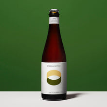 Load image into Gallery viewer, Bottle of beer