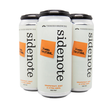 Load image into Gallery viewer, 4-pack hard seltzer