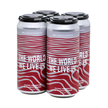 Load image into Gallery viewer, 4-pack of beer