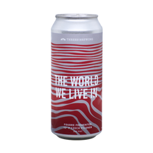 Load image into Gallery viewer, Single can of beer
