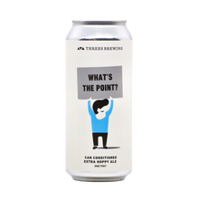 Load image into Gallery viewer, Single Can of Beer