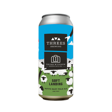 Load image into Gallery viewer, Soft Landing (Hazy Pale Ale)
