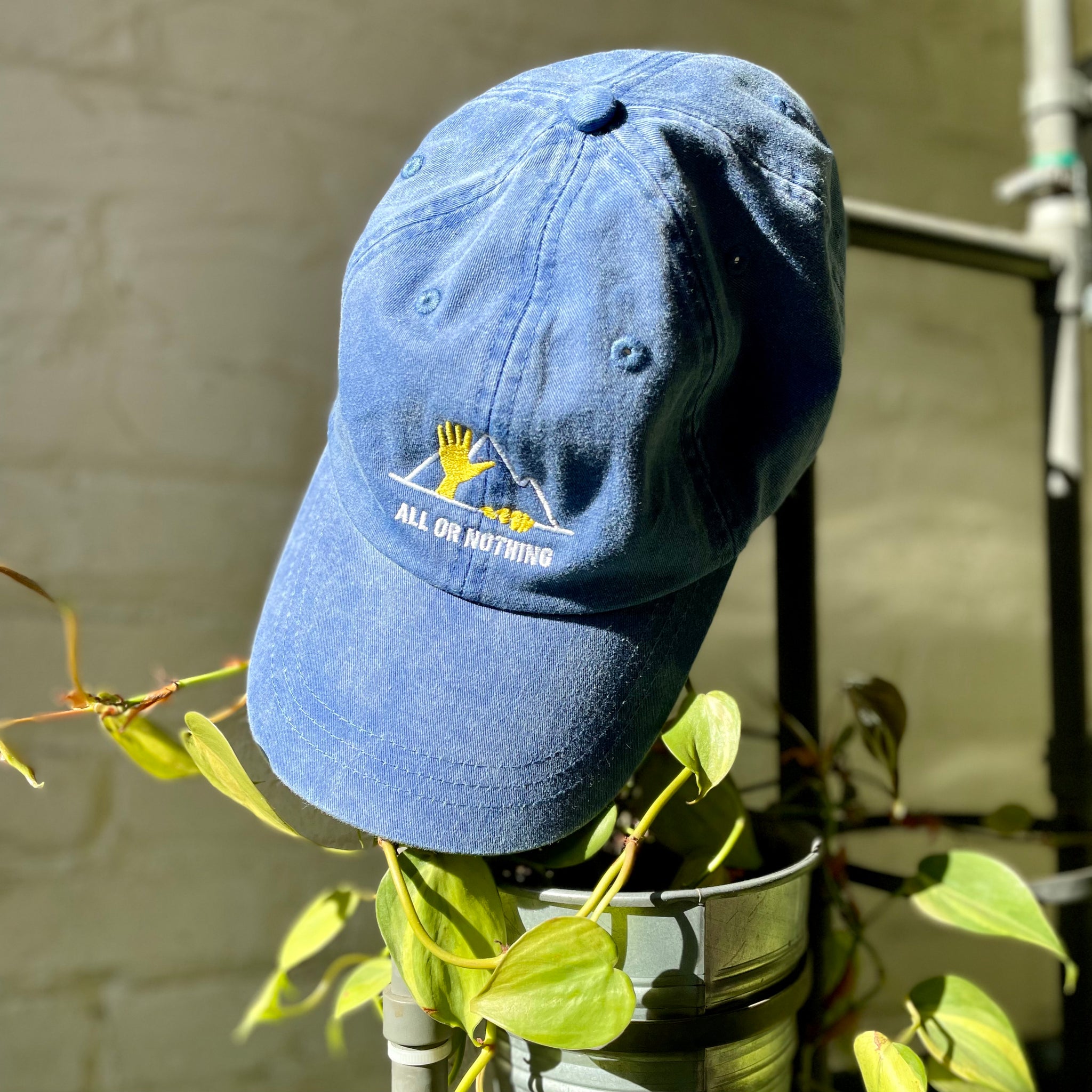 All Or Nothing Dad Hat – Threes Brewing - Main Image