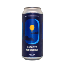 Load image into Gallery viewer, Capacity For Wonder Single Can of Beer
