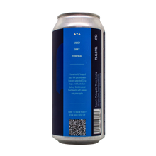 Load image into Gallery viewer, Capacity For Wonder Single Can of Beer
