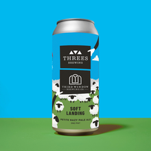 Load image into Gallery viewer, Soft Landing (Hazy Pale Ale)
