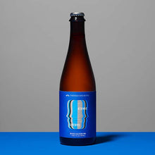 Load image into Gallery viewer, Bottle of beer against blue and grey background

