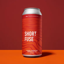 Load image into Gallery viewer, Single can of beer against orange and maroon background
